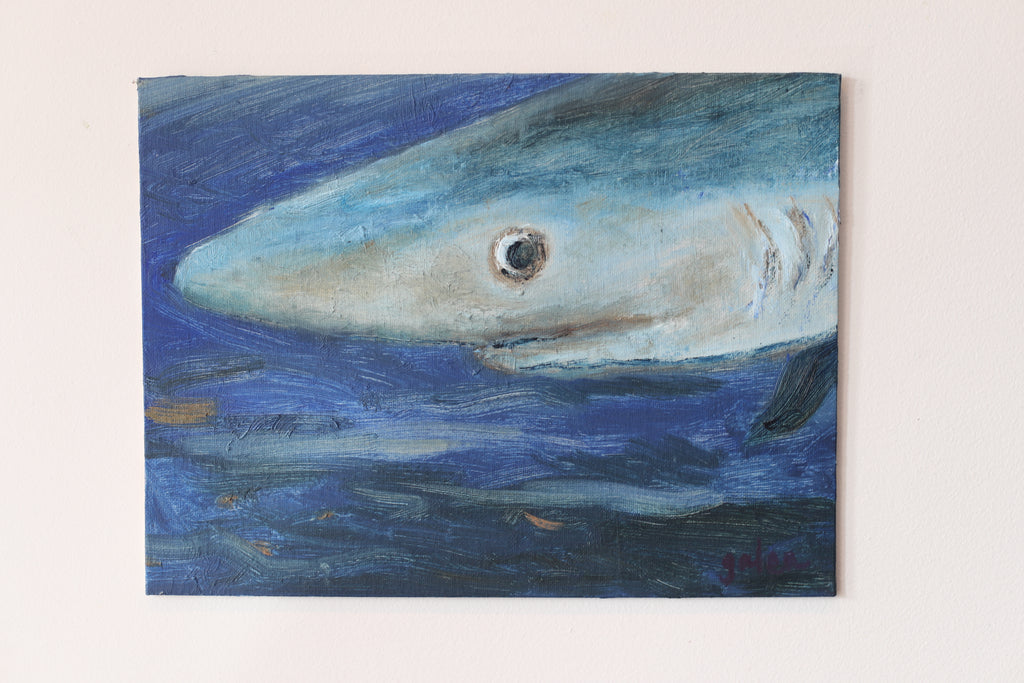 "Blue Shark"