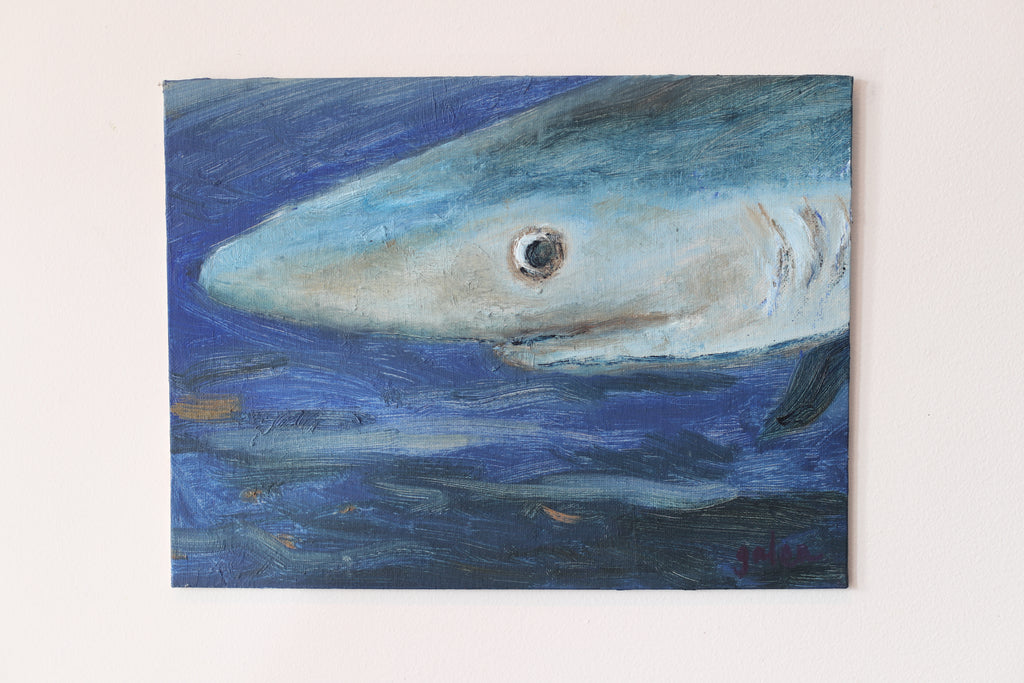 "Blue Shark"