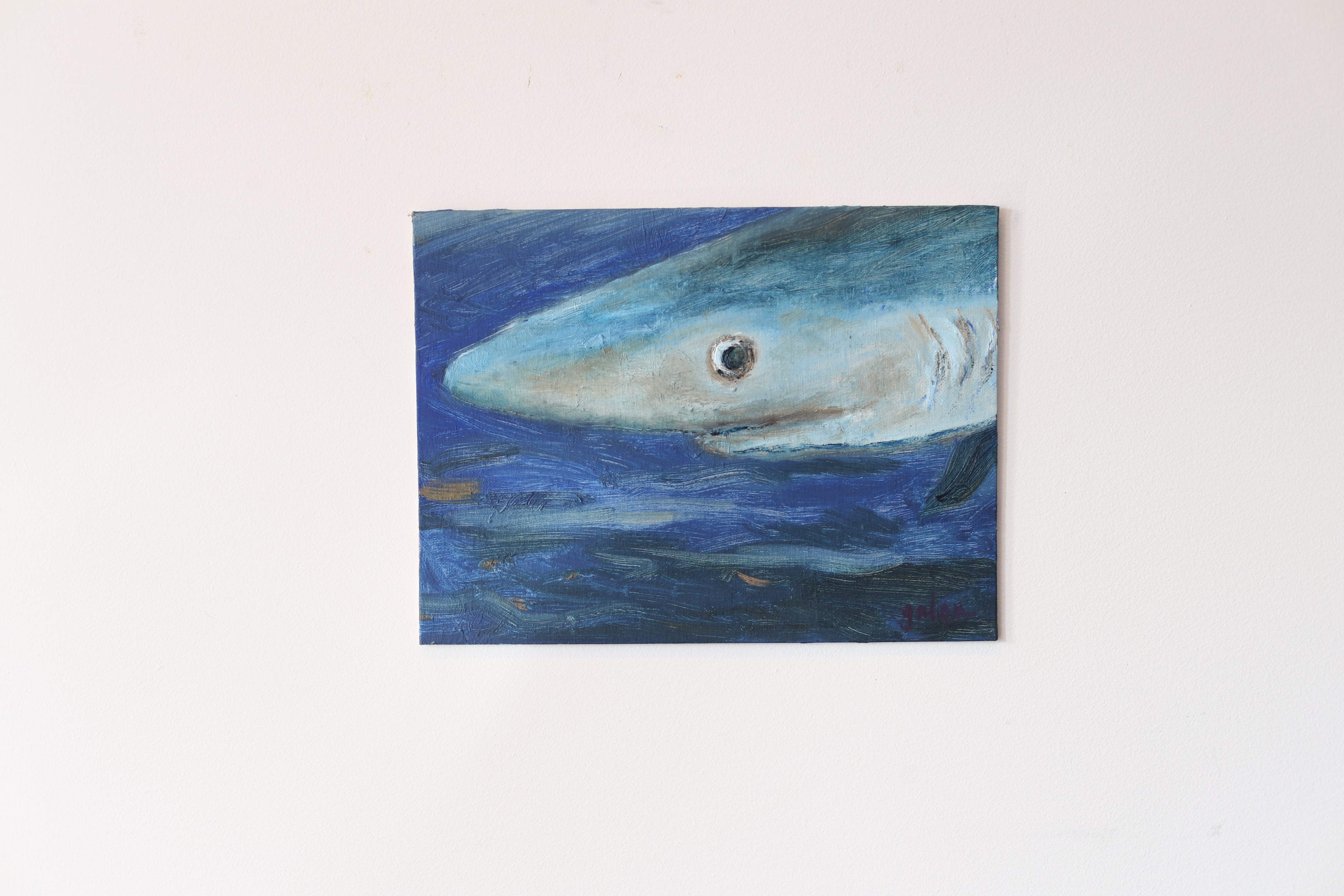 "Blue Shark"