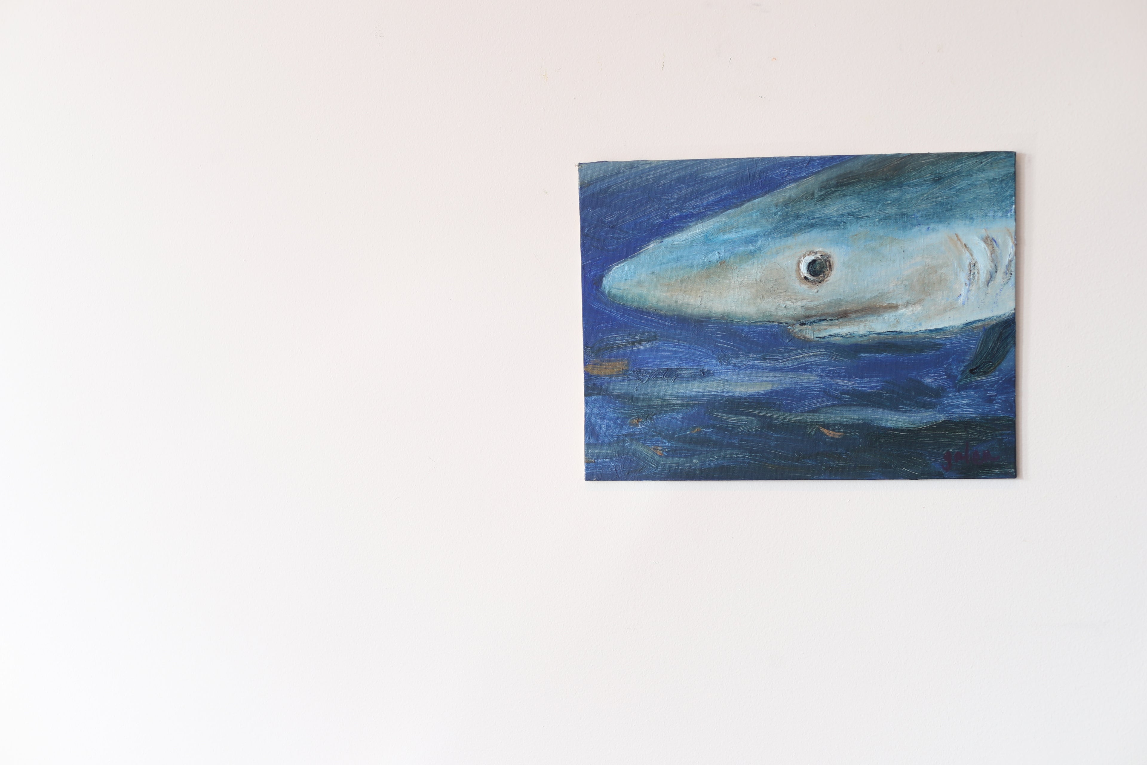 "Blue Shark"
