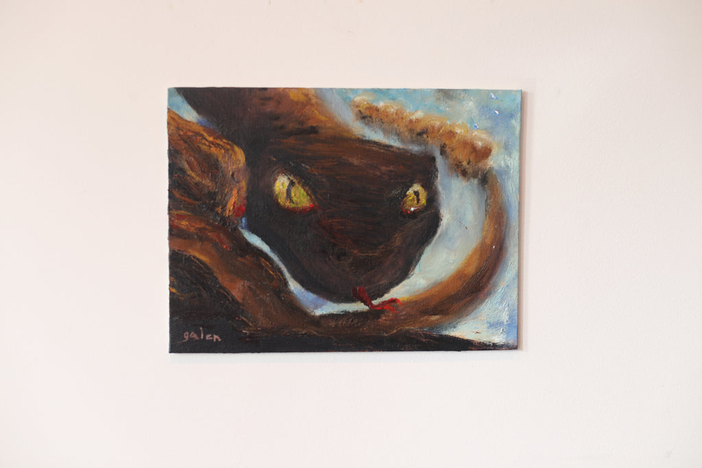 "Final Gaze"