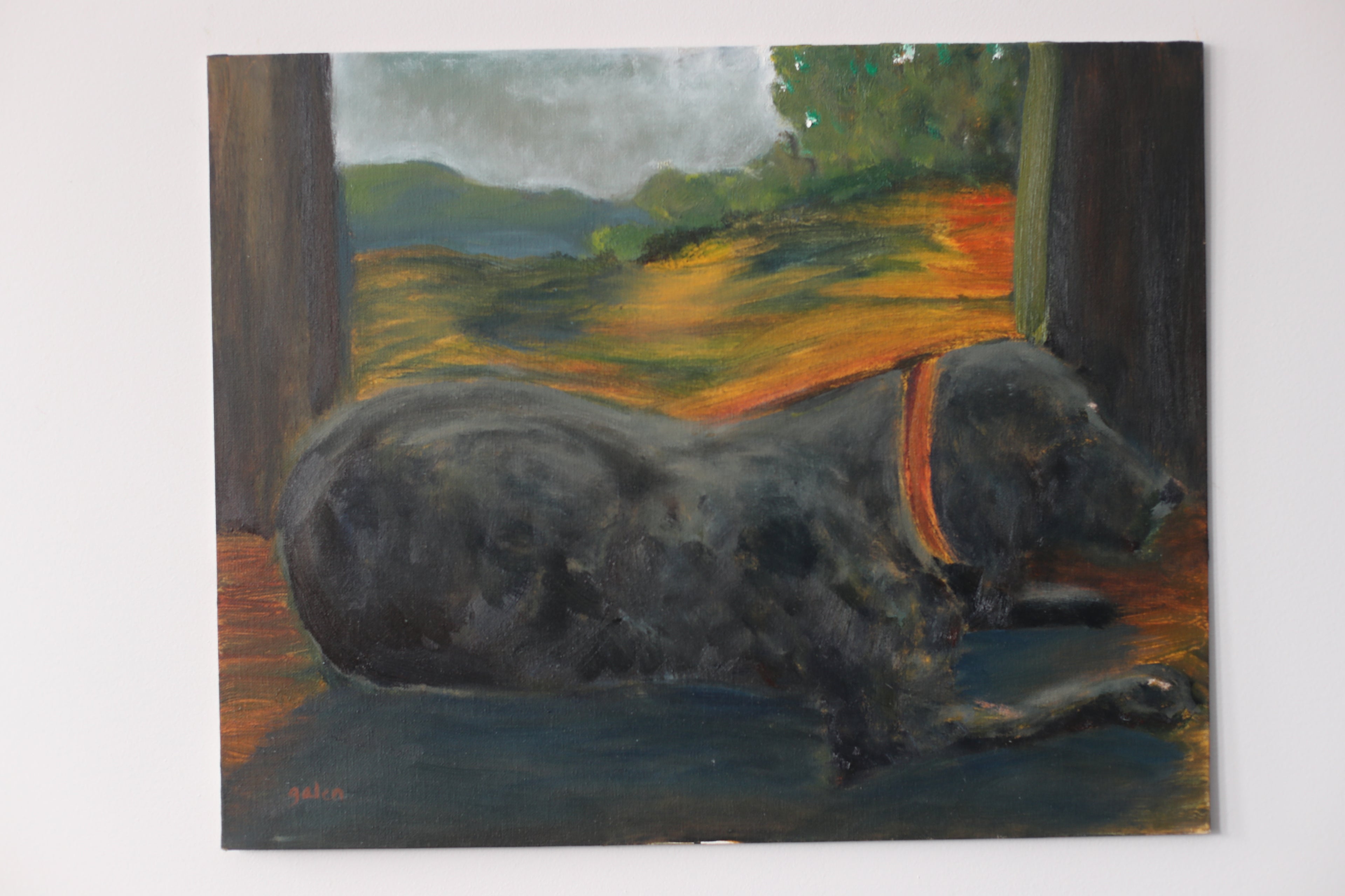 "Koal - mountain dog"