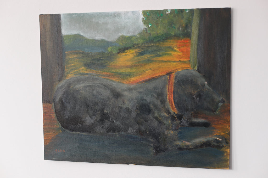 "Koal - mountain dog"